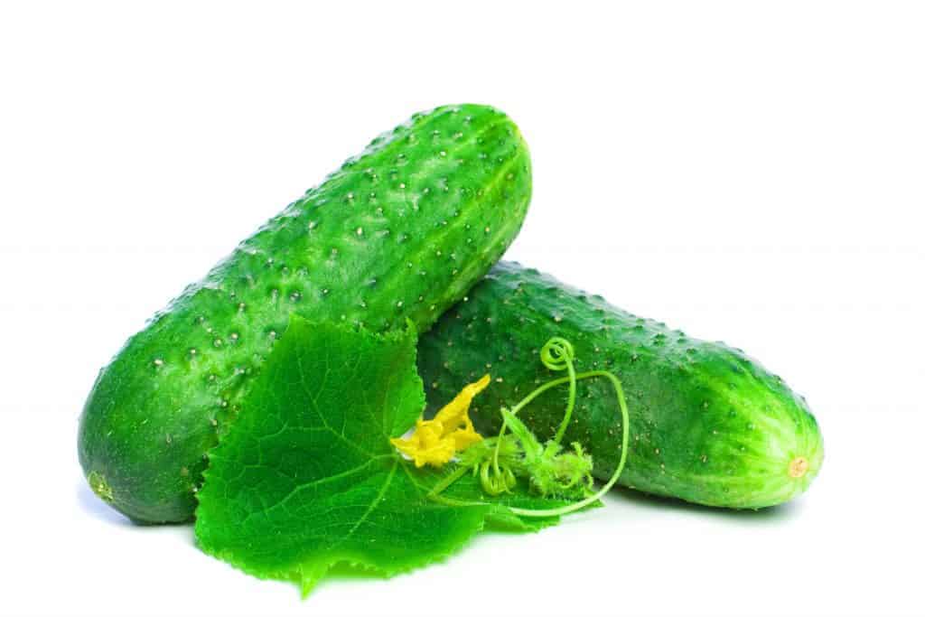 Two cucumbers, cucumber leaf and vine