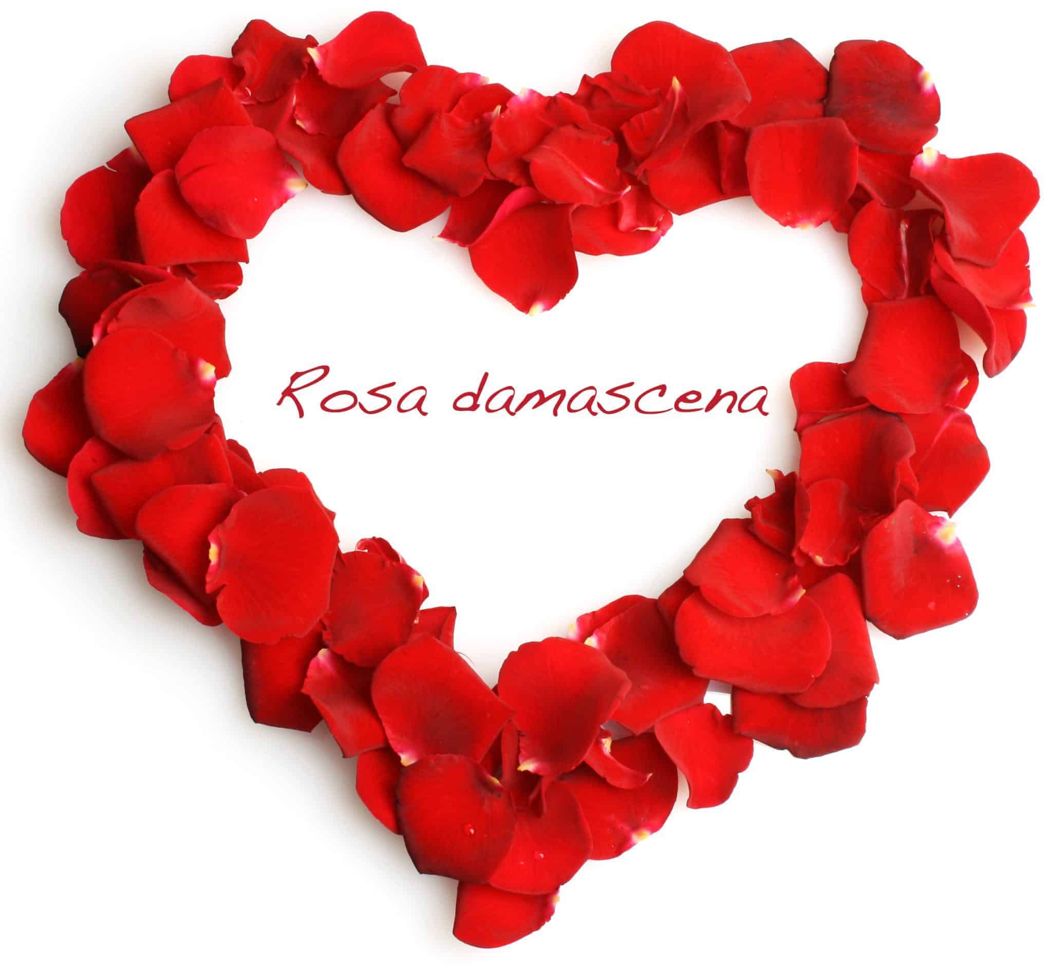 Organic Red Rose Petals (Rosa damascena)