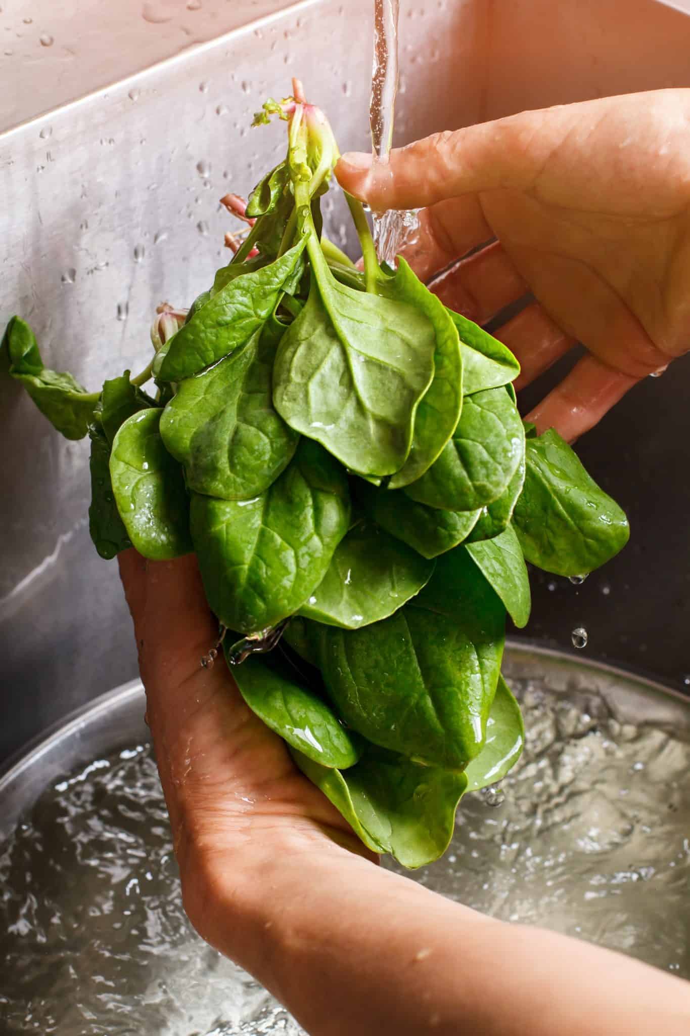 http://sallysorganics.com/wp-content/uploads/2017/04/washing-spinach.jpg
